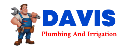 Trusted plumber in CEDAR LAKE